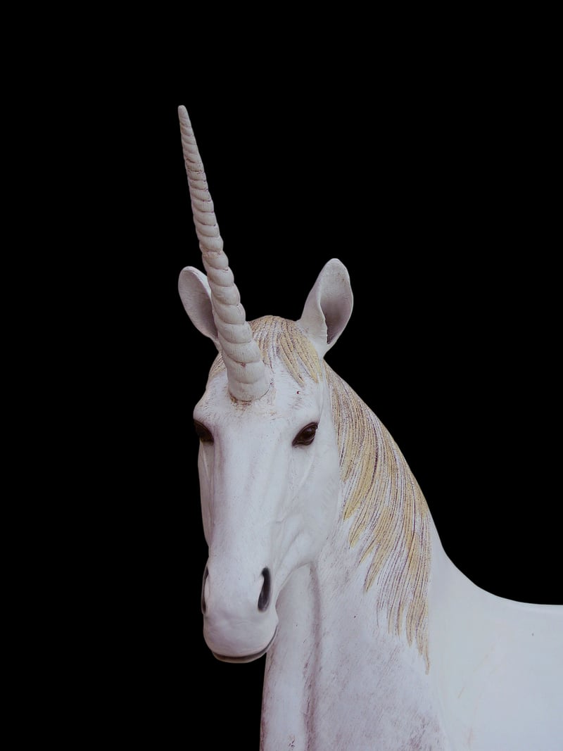 Unicorn Delights