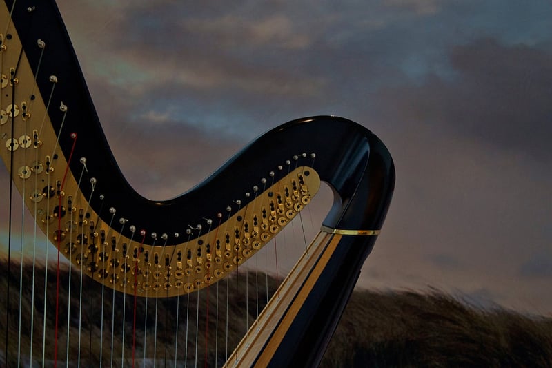 Harp